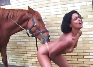 Good horse fucked a big-bottomed hottie