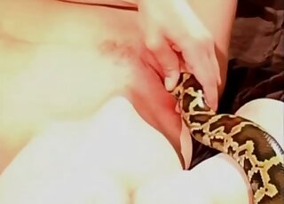 Sexy angel is enjoying hardcore sex with a big snake