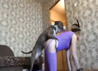 Thin babe in purple finds her perfect dog lover