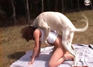 White dog aggressively fucking a tight mature hole