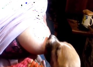 Attentive pupper worships those sexy boobies