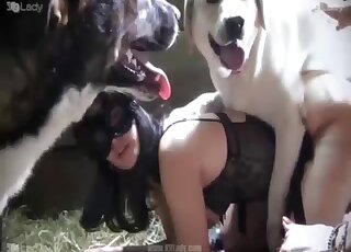 Messy-haired bitch is happy to lick that penis