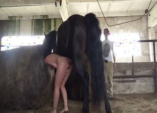 Barnyard bestiality madness with a brunette babe