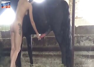 Long-legged girl wants horse cock buried deep inside