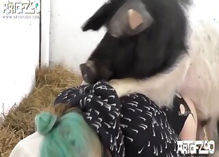 Green-haired bitch fucking her fave pig here