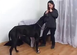 Attentive brunette licked thoroughly by a dog