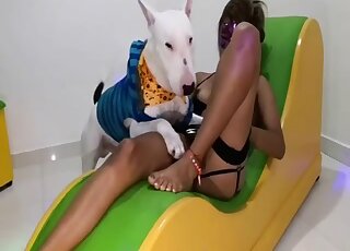 Latina chick fucks a stylish dog in a hoodie