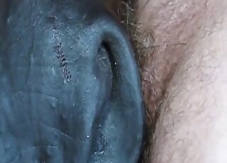 Dude uses his cock to throat-fuck a sexy horse