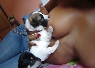 Tiny puppy sucking on those milky tits