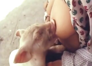 Real lady breastfeeding animals on camera