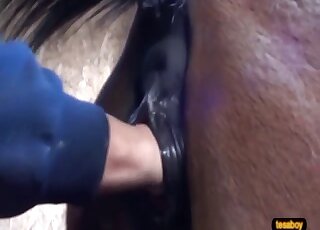 Fisting session featuring a real hot mare