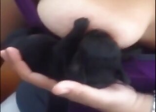 Tiny black puppy worships her boobies here
