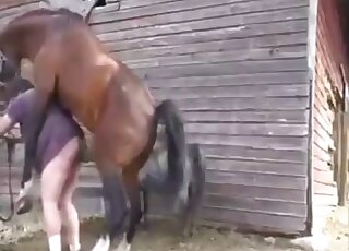 Stallion invades that tight hole from behind