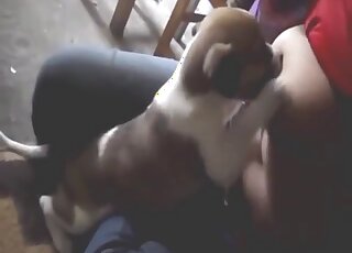 Tiny puppy worships them titties BIG TIME