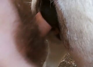 Dirty creature fucked by a hairy cock