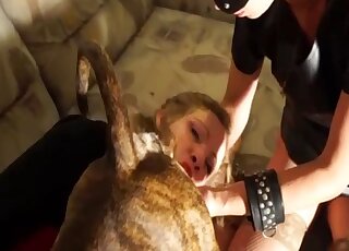 Nice-looking lady getting licked by a sexy dog