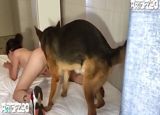 Wet zoophilic pussy getting fucked by a dog here