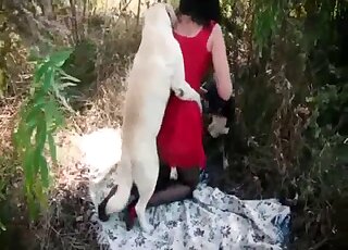 White dog is ready to fuck this beauty for the cam