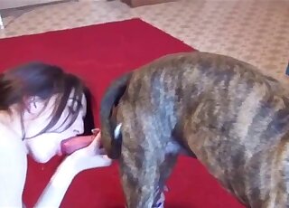 Wonderful oral experience for a dog cock lover