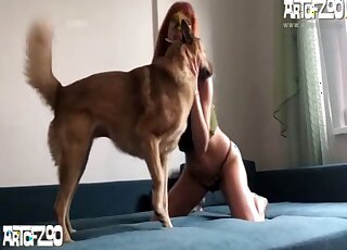 Redheaded chick showing her affinity for zoo sex
