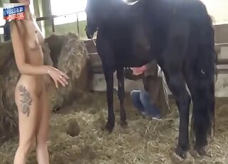 Black stallion is going to ruin her pussy as well
