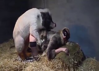 Pig uses its corkscrew cock to fuck a tight twat