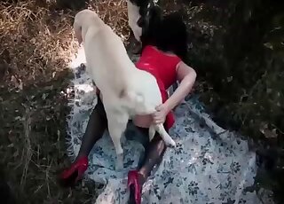 Hairy pussy chick enjoying hot fucking with a mutt
