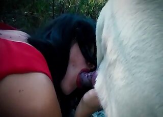 Hairy pussy chick enjoying hot fucking with a mutt