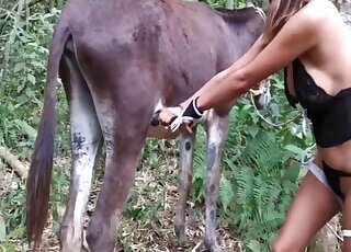 Terribly appealing women find a horse to fuck