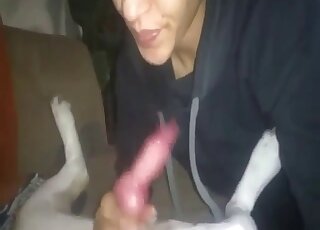Brunette sucks dog cock and eats dog semen too