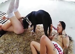 Mesmerizing oral video with perfect Latin ladies