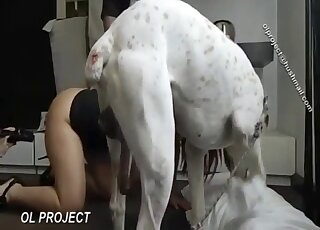 Babe with a wet pussy is getting fucked by a dog