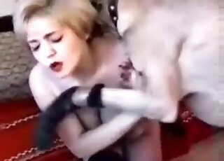 Blonde chick gets fucked by a dog