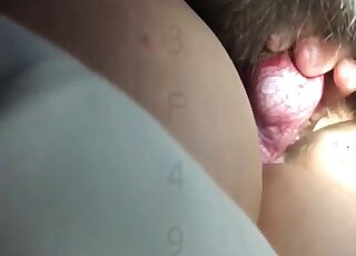 Close-up XXX video with a shapely ass hottie