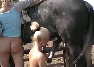 Blond-haired chick sharing horse cock
