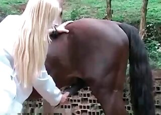 Sweet bleached lady is wanking a horse cock