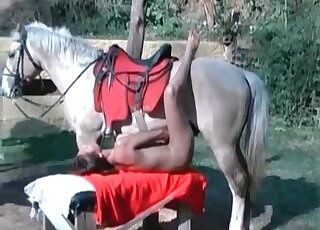 Horse is cumming in her accurate pussy
