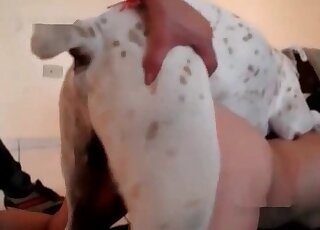 White doggy with meaty dick fucked her hole