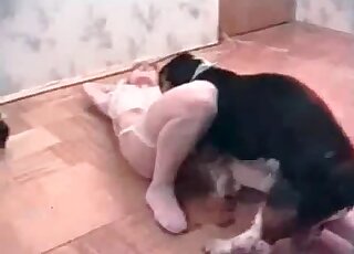 Pigtailed chick fucking a sexy mutt