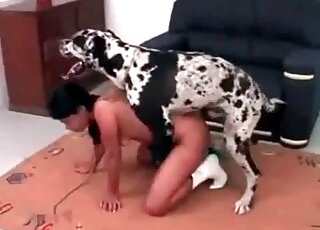 Crazy Dalmatian fucking her puss