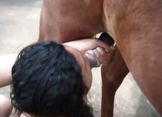 Curly-haired chick blows a hung horse