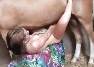 Shredded zoophile takes horse cock
