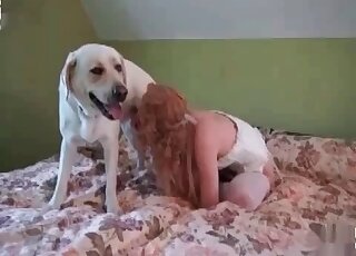 Dog making love to its owner