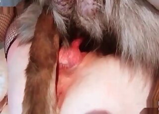 Close-up gape for a horny zoophile