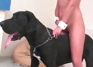 Dog fucking a hot human