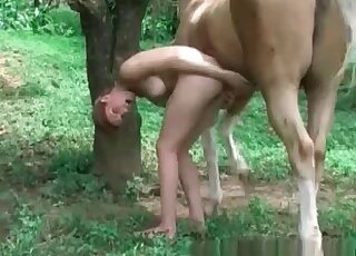 Close-up gape with a sexy horse