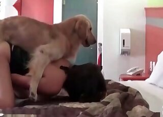 Big doggie enjoying her owner