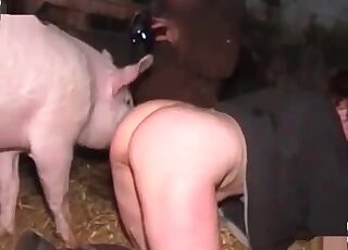 Filthy farm animal and dirty whore