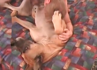 Hardcore anal fucking with a hound
