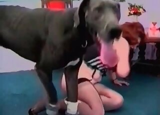 Dripping pussy licked by a kinky black dog